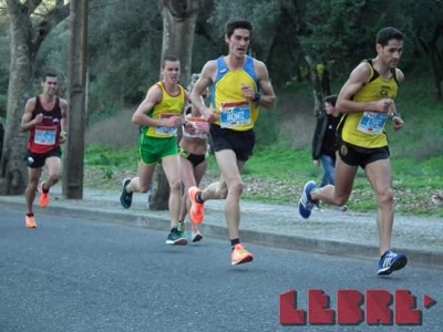 CN Estrada_14